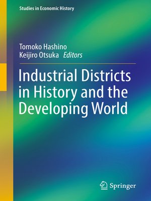 cover image of Industrial Districts in History and the Developing World